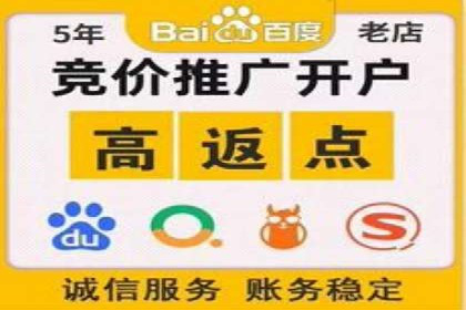 SEM推广策略：成功案例解析